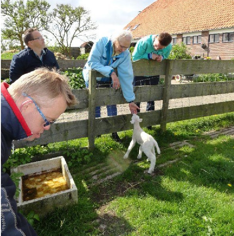Dierenweide Thomashuis Harich