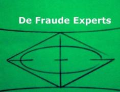 Groene achtergrond met de tekst De Fraude Experts boven geometrische lijnen en vormen.
