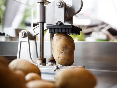 Aardappel in een frietsnijder bij BRAM'S Gourmet Frites, klaar om versgesneden frites te maken.